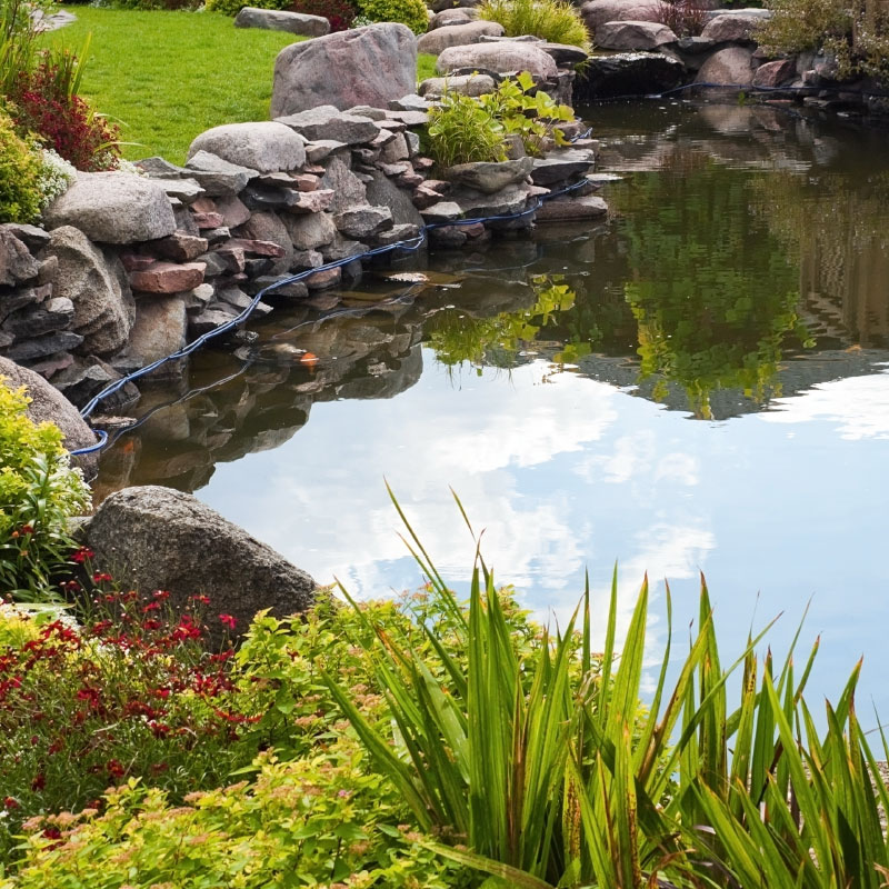 Natural pond makes the backyard more peaceful